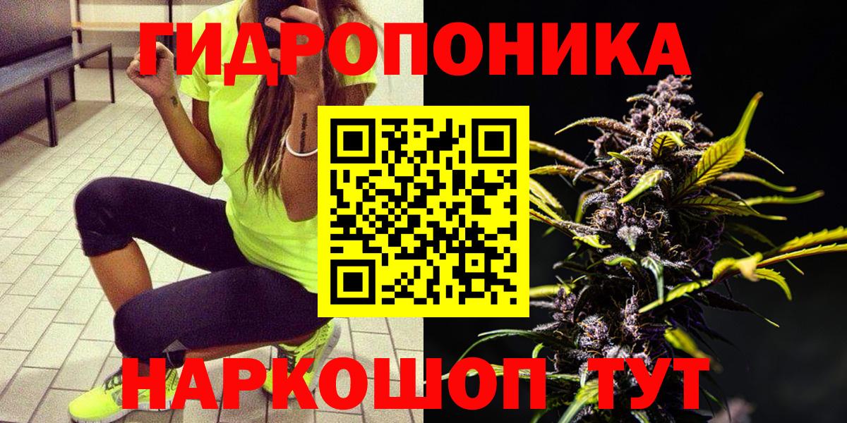 Шишки марихуана OG Kush  МАРИХУАНА ГИДРОПОН  Новошахтинск  Вход с VPN  Бошки марихуана тримм  Бошки Шишки планчик 